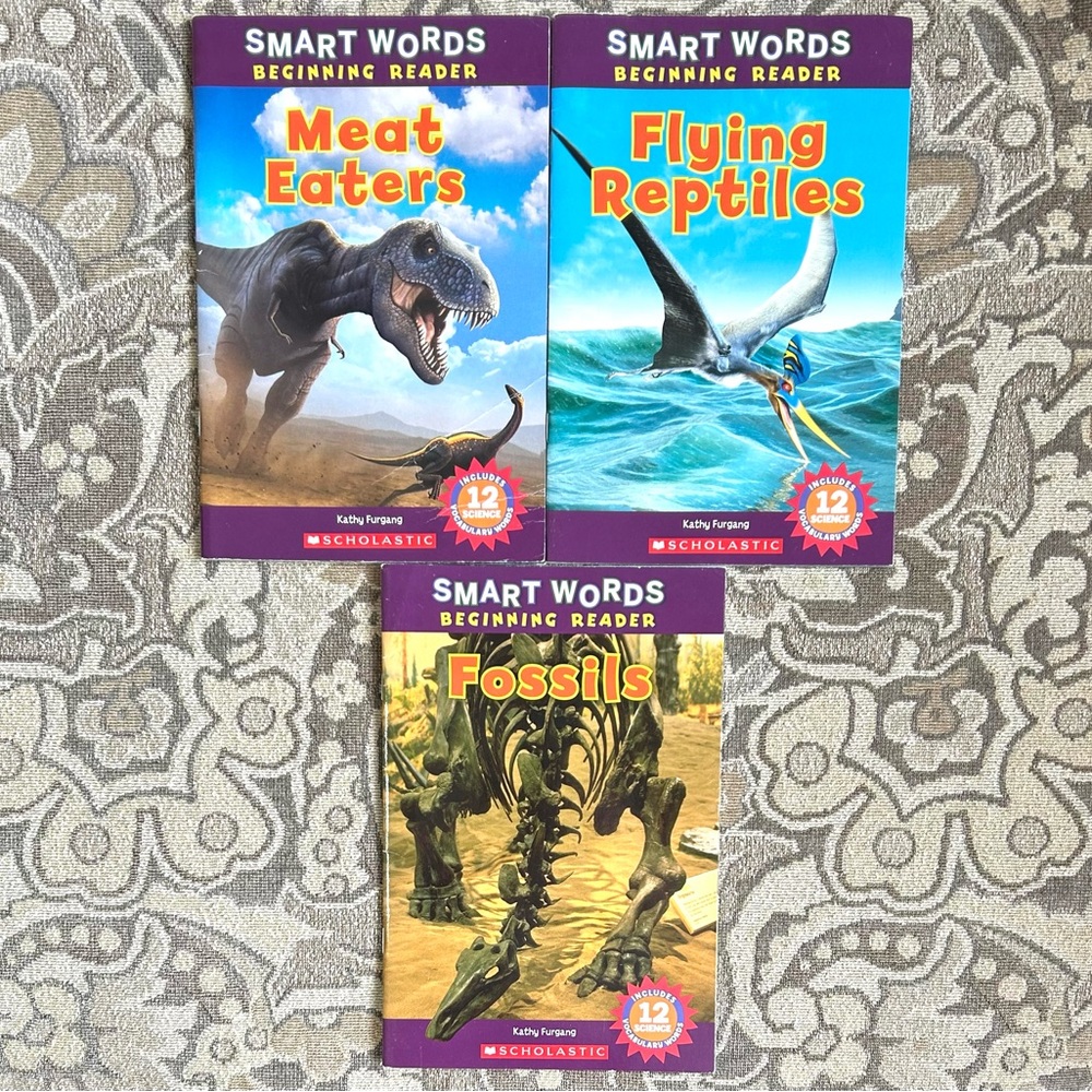 4/$20 Meat-Eating Dinosaurs, Flying Reptiles & Fossils 3 Books Beginning Reader